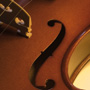 violin